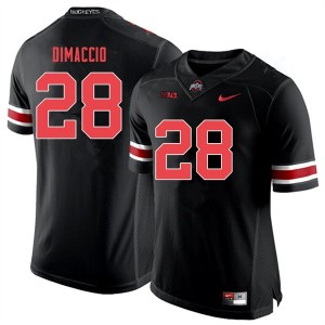 Men Dominic DiMaccio Black Out Ohio State Football #28 Jersey 241713-900