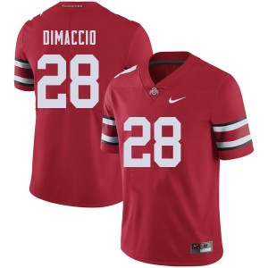 Men Dominic DiMaccio Red Ohio State Buckeyes Football #28 Jersey 818536-403