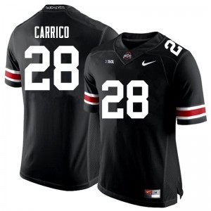 Men Reid Carrico Black Ohio State Buckeyes Football #28 Jersey 808582-231
