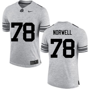 Men Andrew Norwell Gray OSU Buckeyes Football #78 Jersey 128274-288