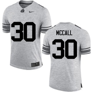 Men Demario McCall Gray OSU Buckeyes Football #30 Jersey 367012-698