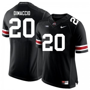 Men Dominic DiMaccio Black Ohio State Buckeyes Football #20 Jersey 748314-224