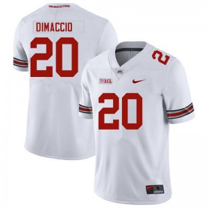 Men Dominic DiMaccio White OSU Buckeyes Football #20 Jersey 480719-239