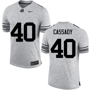 Men Howard Cassady Gray Ohio State Football #40 Jersey 788683-961