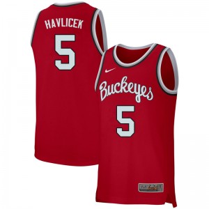 Men John Havlicek Retro Scarlet Ohio State Buckeyes Basketball #5 Jersey 384089-883