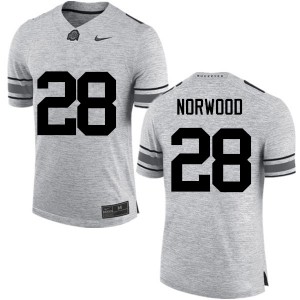 Men Joshua Norwood Gray Ohio State Football #28 Jersey 918907-830