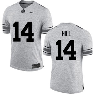 Men KJ Hill Gray Ohio State Football #14 Jersey 355139-628