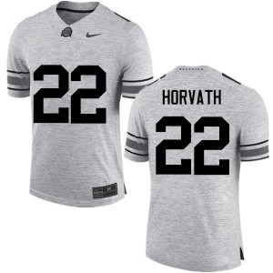 Men Les Horvath Gray Ohio State Buckeyes Football #22 Jersey 651908-570