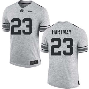 Men Michael Hartway Gray Ohio State Buckeyes Football #23 Jersey 522485-623