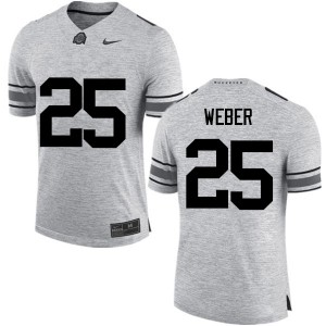 Men Mike Weber Gray Ohio State Football #25 Jersey 909293-195