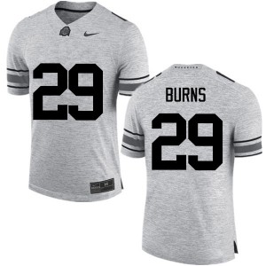 Men Rodjay Burns Gray Ohio State Football #29 Jersey 292107-771