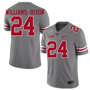 Men Sam Williams-Dixon Grey Ohio State Buckeyes Football #24 Jersey 528181-656