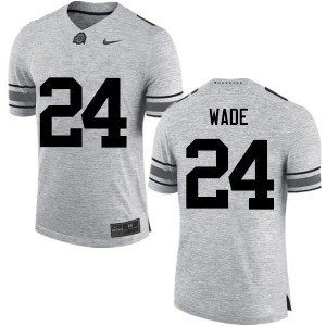 Men Shaun Wade Gray Ohio State Buckeyes Football #24 Jersey 927240-209