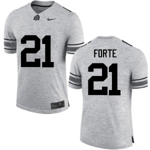 Men Trevon Forte Gray Ohio State Buckeyes Football #21 Jersey 531585-193