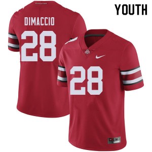Youth Dominic DiMaccio Red Ohio State Buckeyes Football #28 Jersey 608150-833
