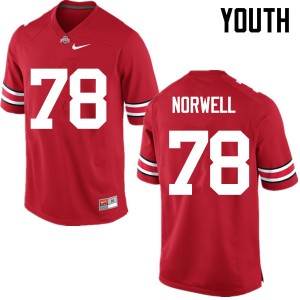 Youth Andrew Norwell Red Ohio State Football #78 Jersey 861294-848
