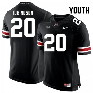 Youth Davison Igbinosun Black Ohio State Buckeyes Football #20 Jersey 452013-322