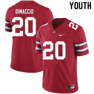 Youth Dominic DiMaccio Red Ohio State Buckeyes Football #20 Jersey 672987-311