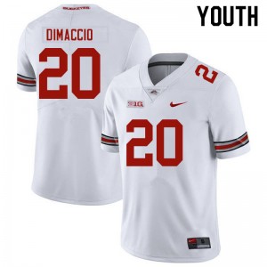 Youth Dominic DiMaccio White Ohio State Football #20 Jersey 684396-240