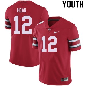Youth Gunnar Hoak Red Ohio State Football #12 Jersey 291268-473