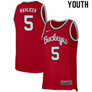 Youth John Havlicek Retro Scarlet Ohio State Buckeyes Basketball #5 Jersey 648280-980